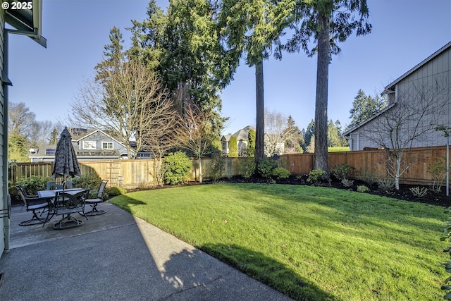 view of yard featuring a patio