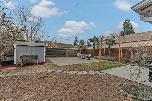 view of yard featuring a patio and a storage unit