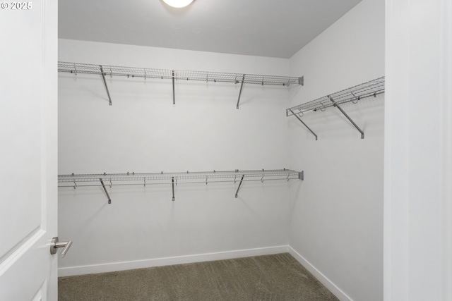 spacious closet featuring dark colored carpet