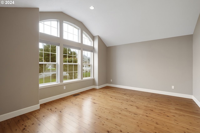 additional living space with light hardwood / wood-style floors, a wealth of natural light, and lofted ceiling