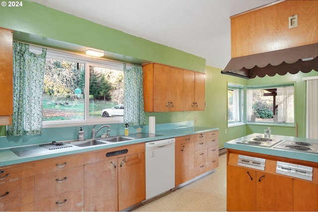 kitchen with white dishwasher and sink