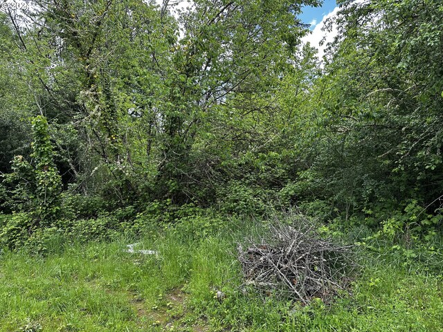 0 13th Ave, Sweet Home, OR 97386