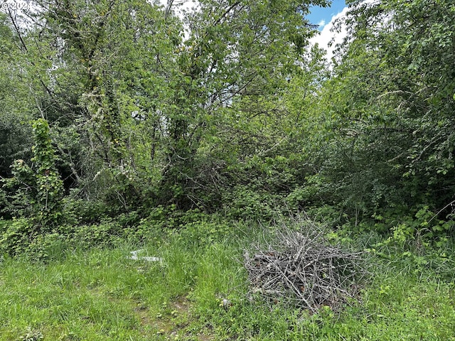 0 13th Ave, Sweet Home, OR 97386