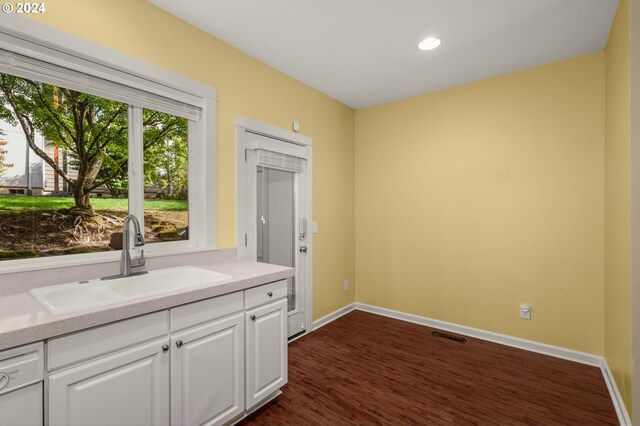 interior space featuring sink and dark wood-type flooring