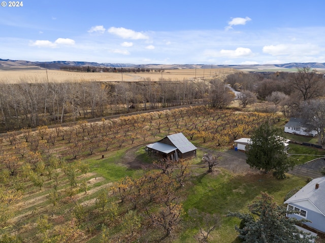 drone / aerial view featuring a mountain view and a rural view