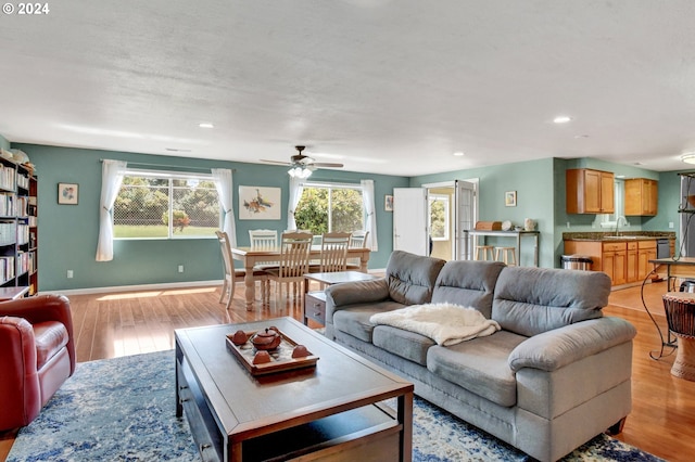 living room featuring ceiling fan, light hardwood / wood-style flooring, and sink