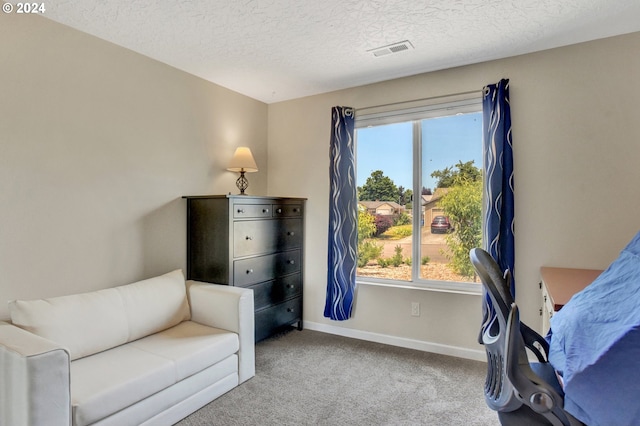 living area with plenty of natural light, light colored carpet, and a textured ceiling