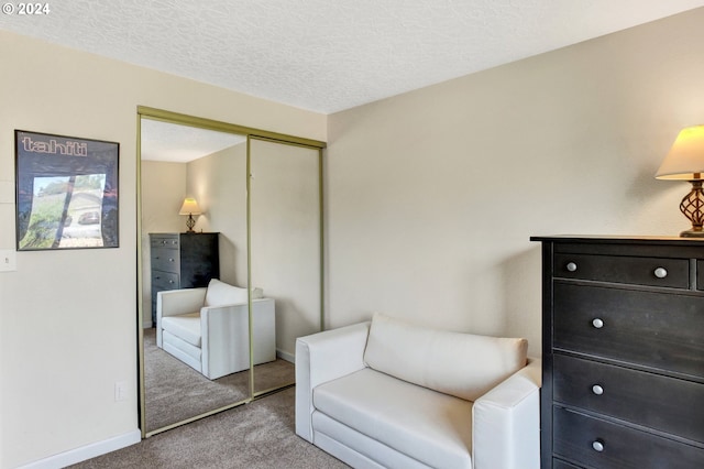 sitting room with light carpet and a textured ceiling