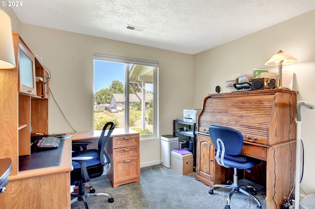 carpeted office space with a textured ceiling