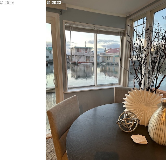 dining room featuring ornamental molding, a water view, and a healthy amount of sunlight