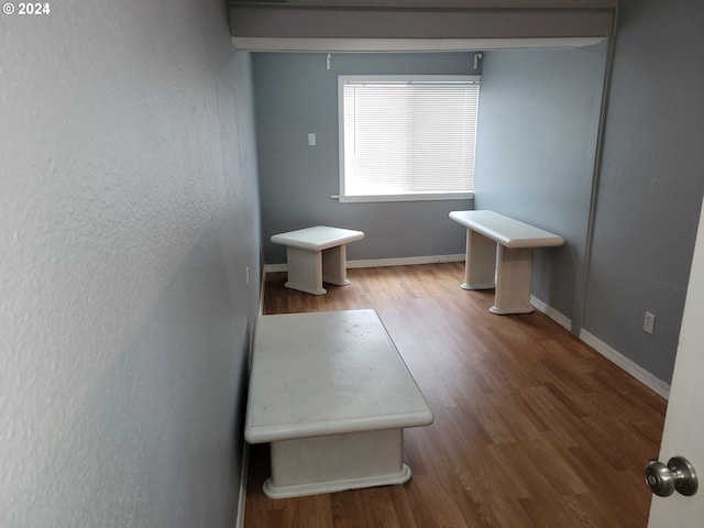 bathroom with hardwood / wood-style flooring