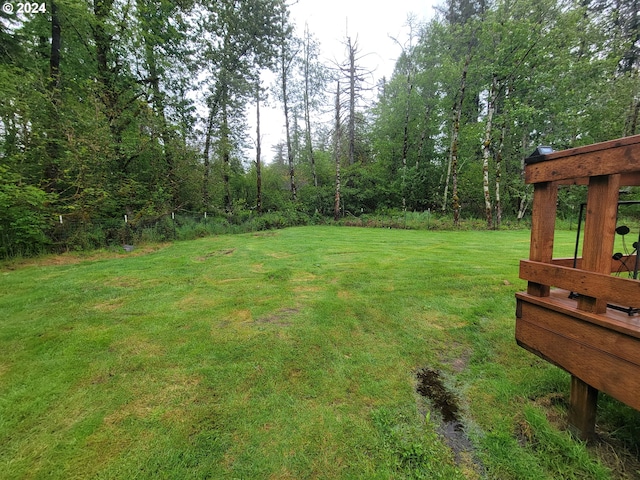 view of grassy yard