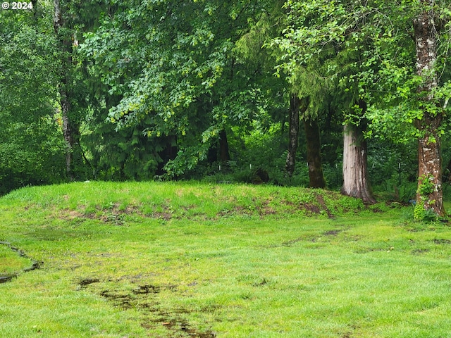 view of grassy yard