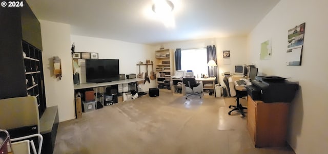 office area featuring carpet