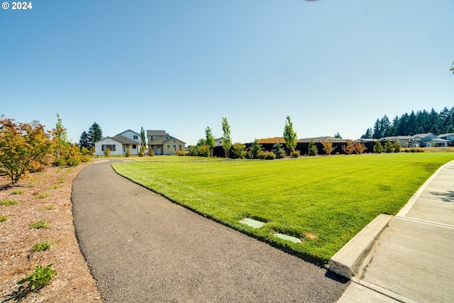 view of front facade with a front yard