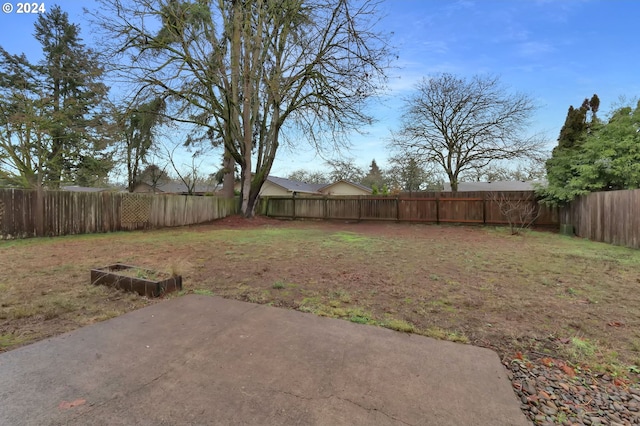 view of yard with a patio