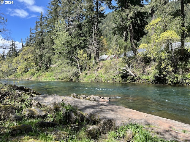 46791 Winfrey Rd, Westfir, OR 97492 - water view
