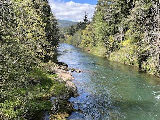 46791 Winfrey Rd, Westfir, OR 97492 - water view featuring a forest