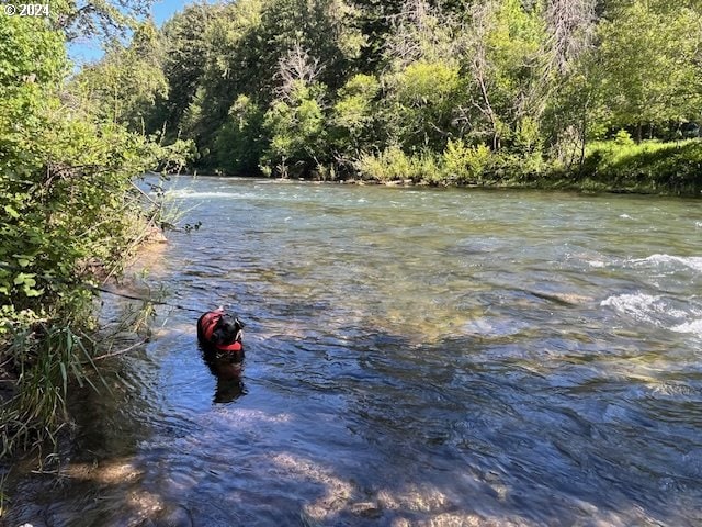 46791 Winfrey Rd, Westfir, OR 97492 - water view with a forest