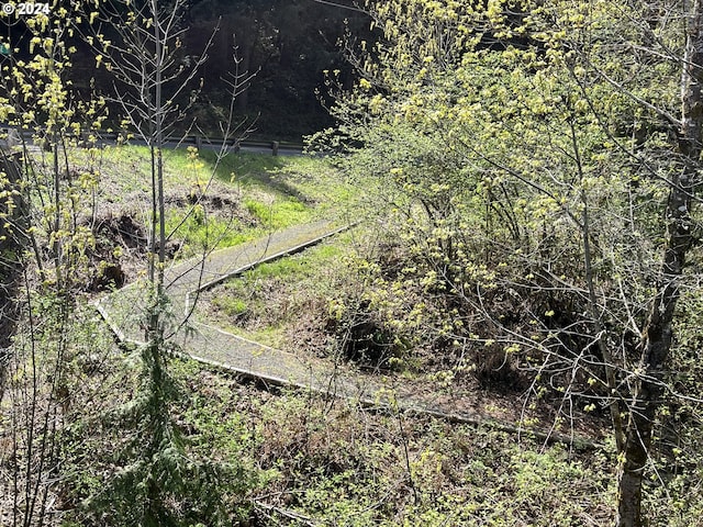 46791 Winfrey Rd, Westfir, OR 97492 - view of yard featuring a vegetable garden