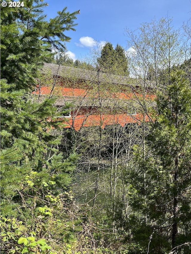 46791 Winfrey Rd, Westfir, OR 97492 - view of local wilderness