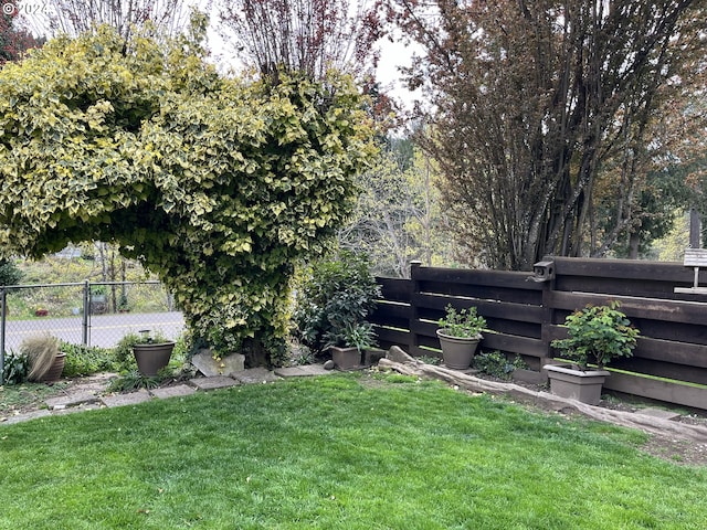 46791 Winfrey Rd, Westfir, OR 97492 - view of yard