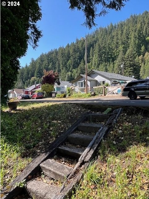 46791 Winfrey Rd, Westfir, OR 97492 - view of yard with a view of trees