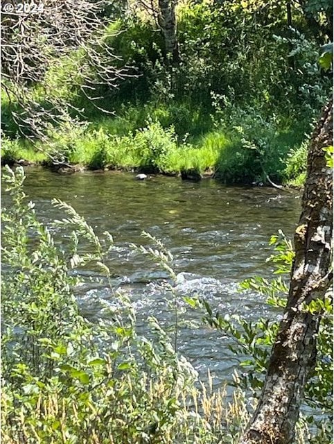 46791 Winfrey Rd, Westfir, OR 97492 - water view