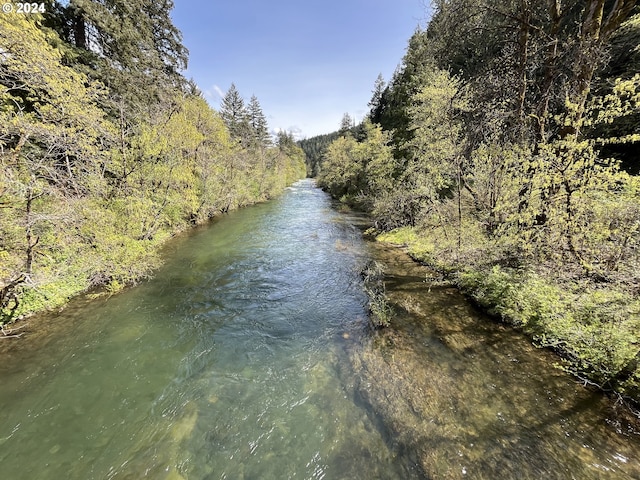46791 Winfrey Rd, Westfir, OR 97492 - water view