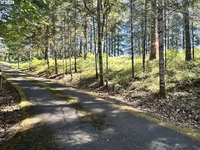 view of street