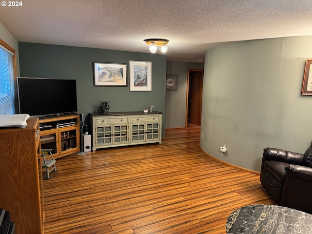 living room with a textured ceiling and hardwood / wood-style flooring