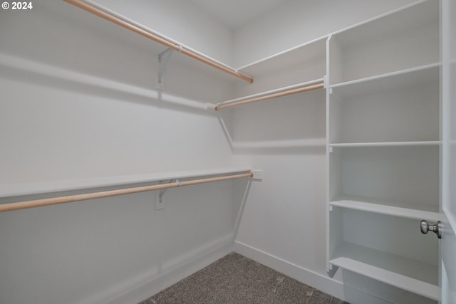 walk in closet with carpet floors