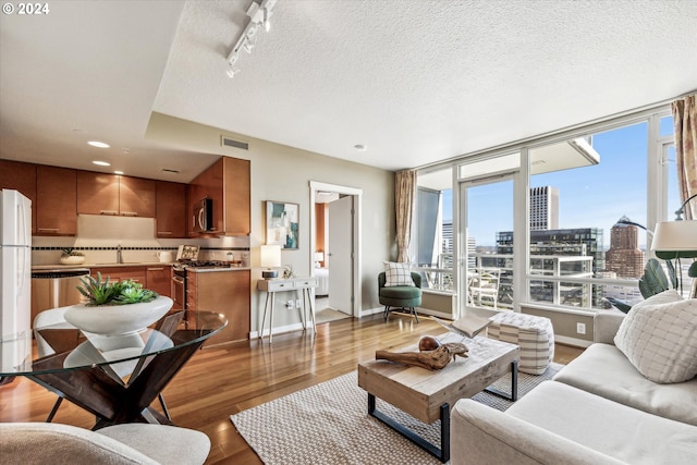 living room featuring a textured ceiling, rail lighting, light hardwood / wood-style floors, and sink