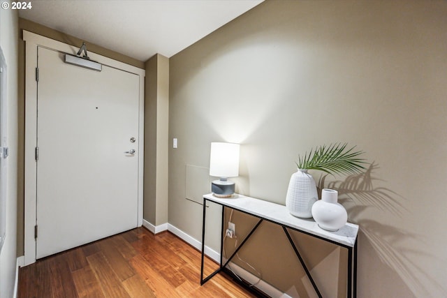 entrance foyer with hardwood / wood-style flooring