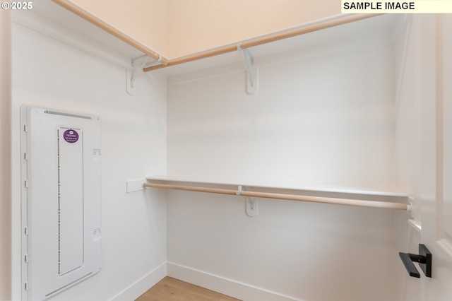 spacious closet featuring light wood finished floors