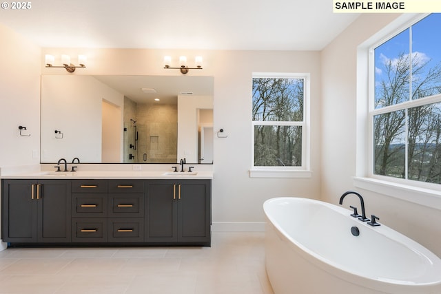 bathroom featuring a freestanding bath, double vanity, a stall shower, and a sink