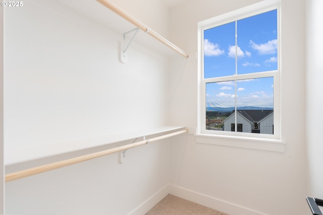 15044 SW 164th Ave Unit L17, Tigard, OR 97224 - spacious closet featuring carpet flooring