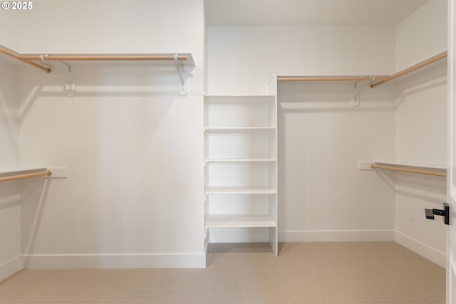 15044 SW 164th Ave Unit L17, Tigard, OR 97224 - walk in closet featuring carpet floors