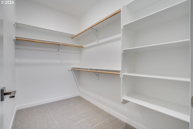 walk in closet featuring carpet flooring