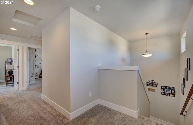 hallway with carpet flooring