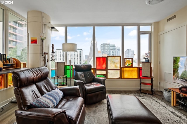 interior space featuring wood-type flooring and plenty of natural light