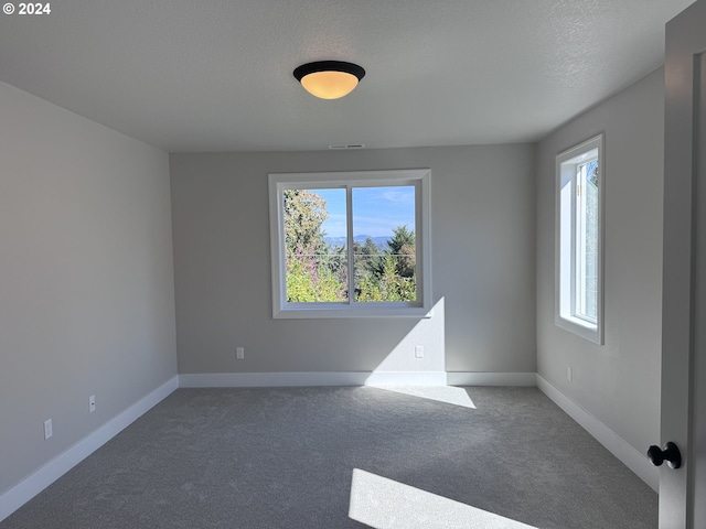 empty room featuring carpet floors, a textured ceiling, and a healthy amount of sunlight