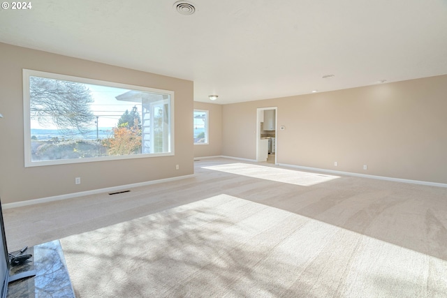 spare room featuring light carpet