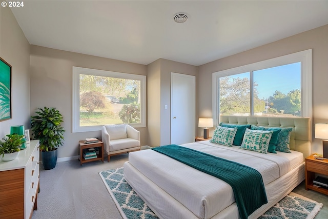 bedroom with carpet floors and multiple windows