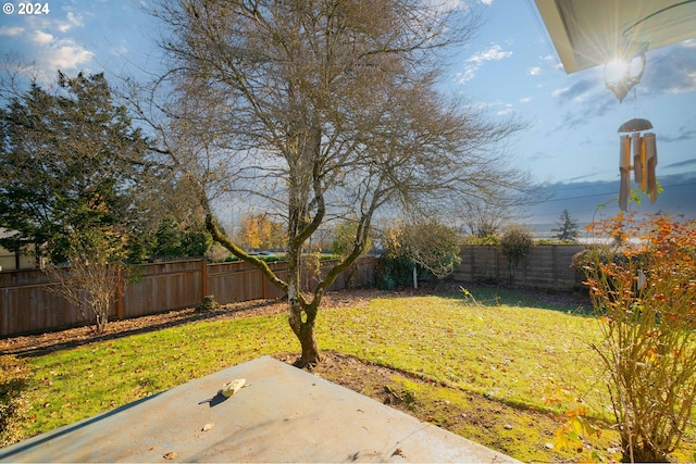 view of yard featuring a patio