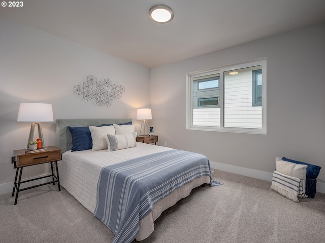 bedroom with carpet floors