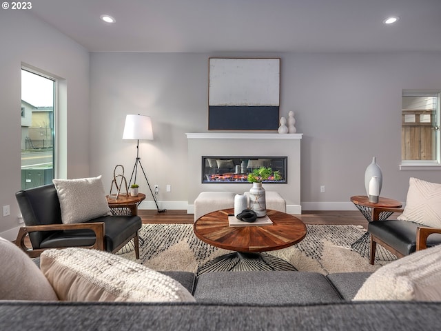 living room featuring hardwood / wood-style flooring