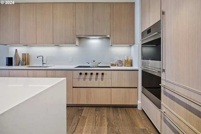 kitchen with light brown cabinets, black cooktop, a sink, under cabinet range hood, and modern cabinets