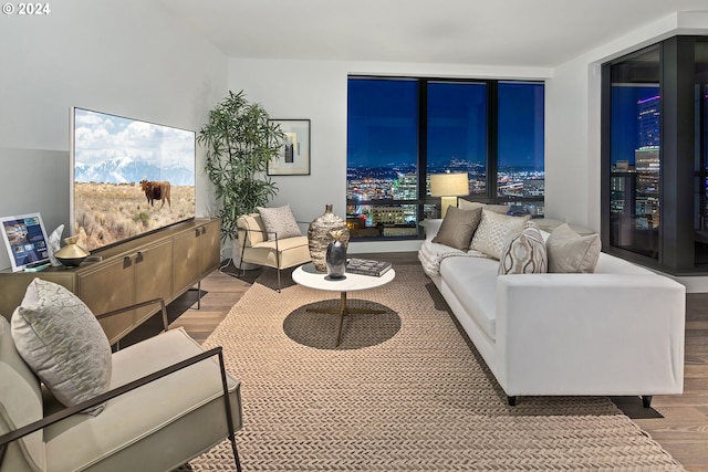 living room with wood finished floors