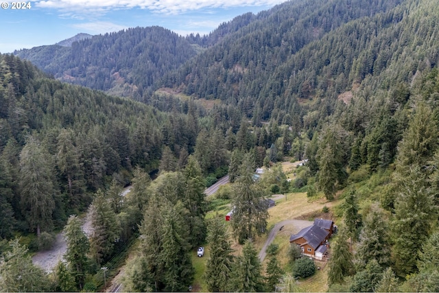 aerial view with a mountain view